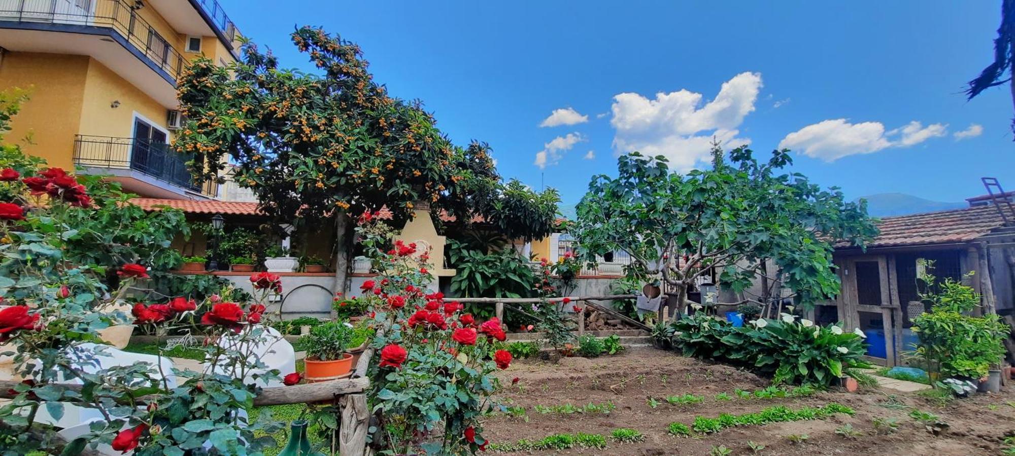 Buonocore Rooms Santa Maria La Carita Екстер'єр фото