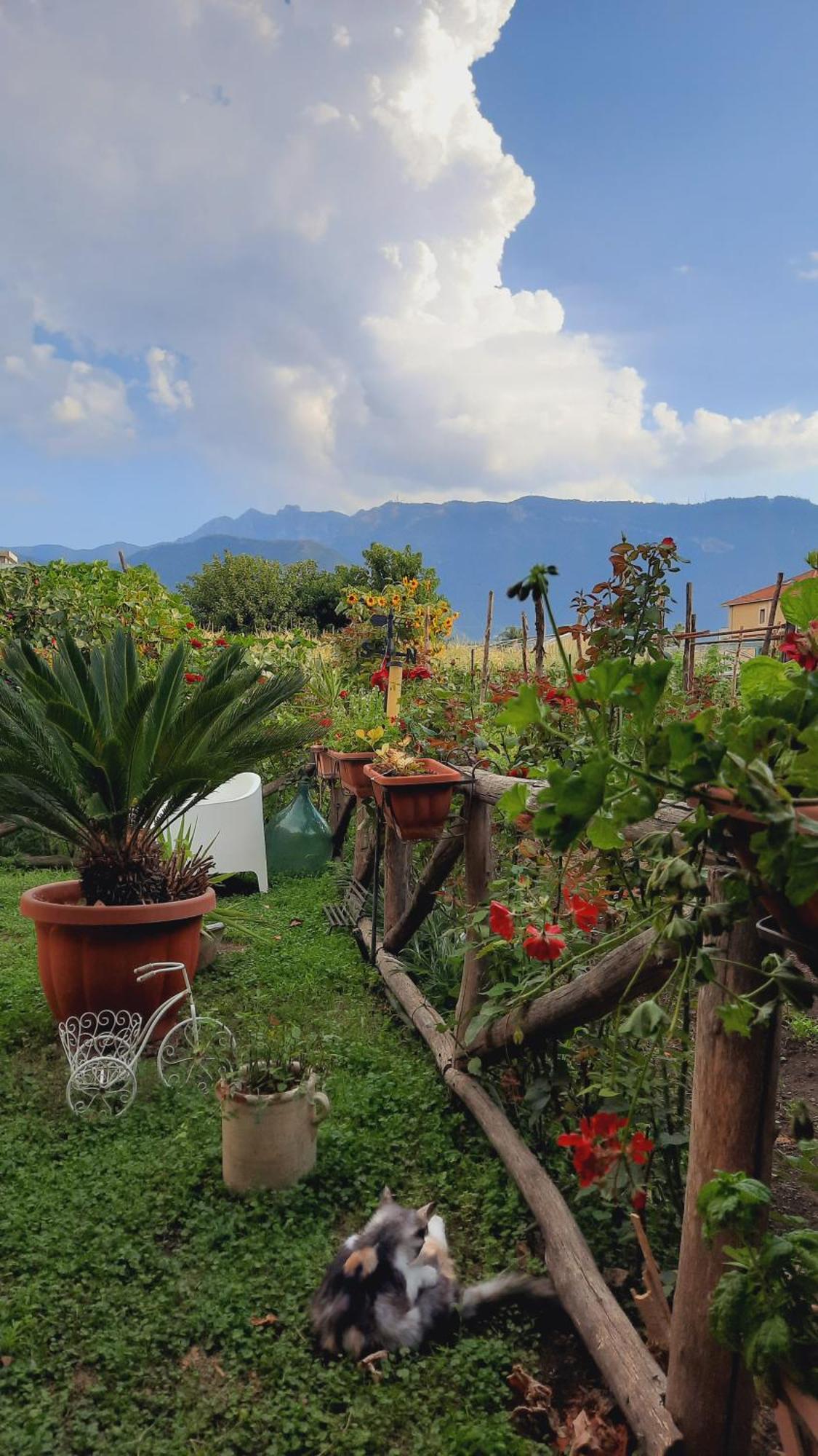 Buonocore Rooms Santa Maria La Carita Екстер'єр фото