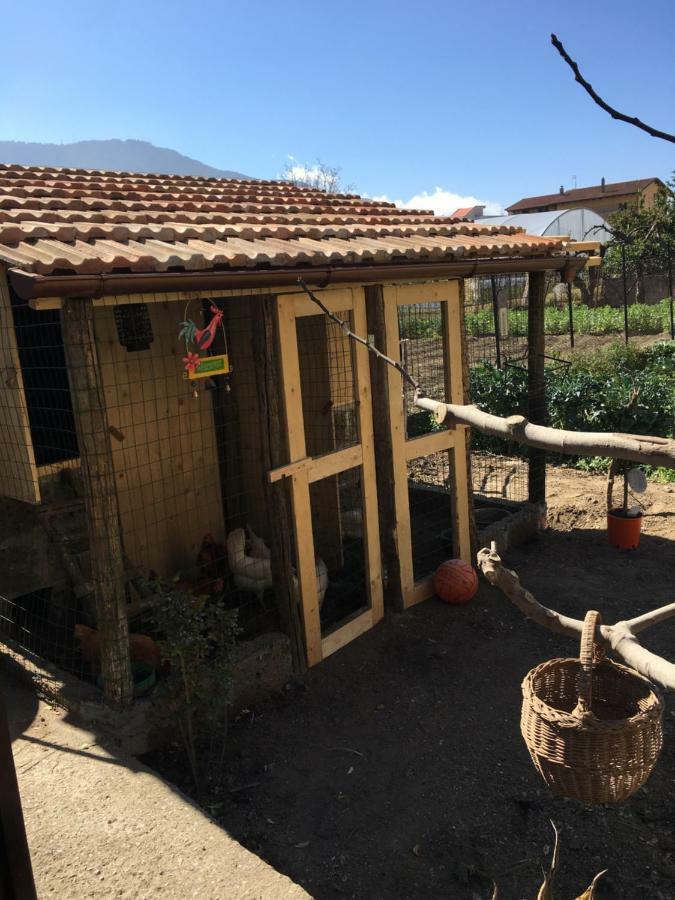 Buonocore Rooms Santa Maria La Carita Екстер'єр фото